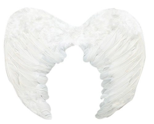 картинка Крылья Ангела перьевые для маленьких (30 х 50 см) от магазина Смехторг