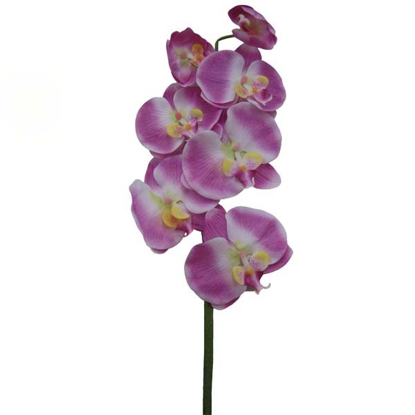 картинка Ветка "Орхидея" / 7 голов Н 85 см. от магазина Смехторг