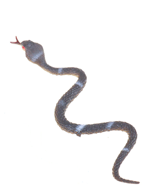 картинка Змея резиновая маленькая, 25 см (3 шт) от магазина Смехторг