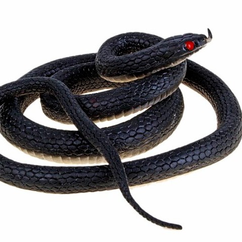 картинка Змея резиновая большая, 100 см от магазина Смехторг