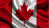 картинка Флаг Канады большой (140 см х 90 см)  от магазина Смехторг