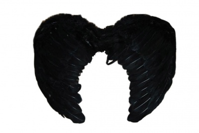 картинка Крылья Чёрные перьевые для маленьких (33 х 42см) от магазина Смехторг