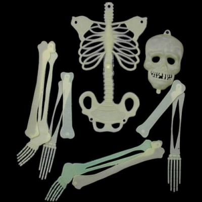 картинка Скелет средний, светящийся в темноте от магазина Смехторг