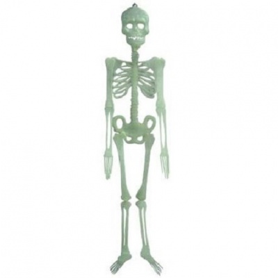 картинка Скелет большой, светящийся в темноте , 150 см от магазина Смехторг